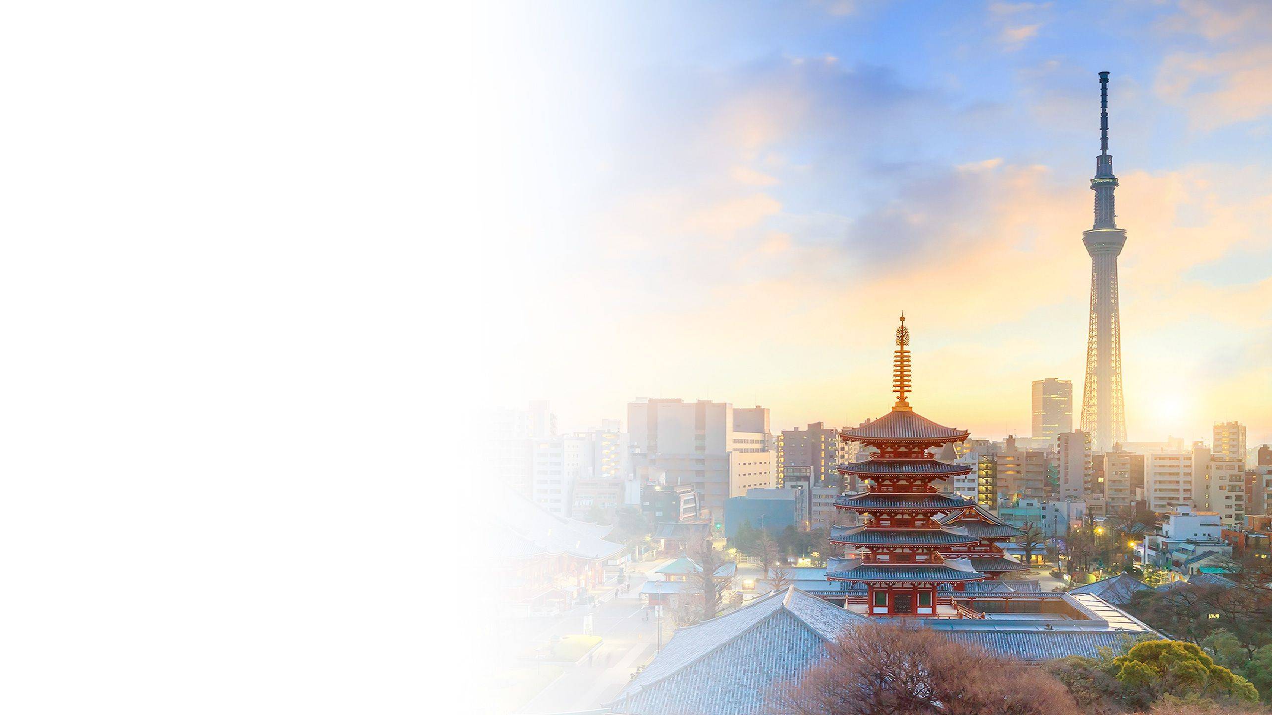 Tokyo office image