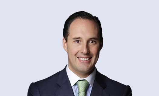 Germán  de la Garza De Vecchi