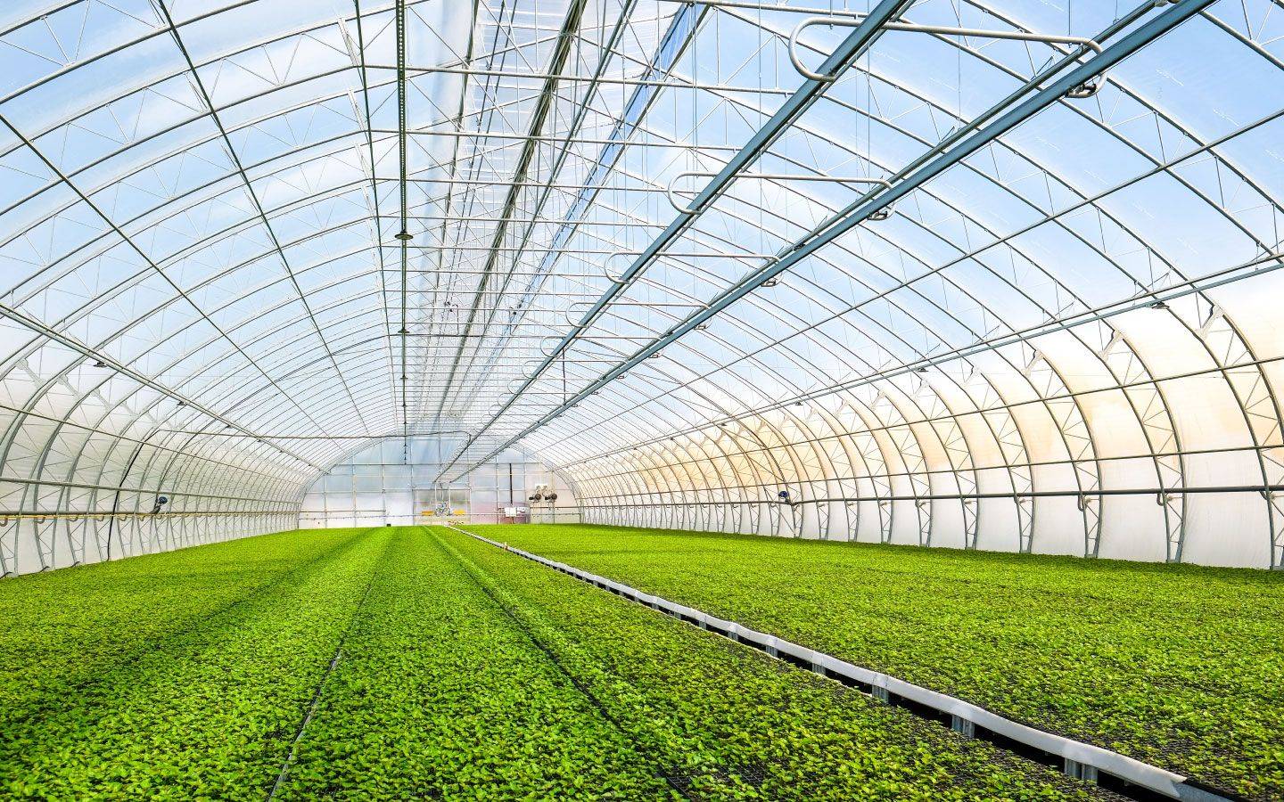Agriculture 