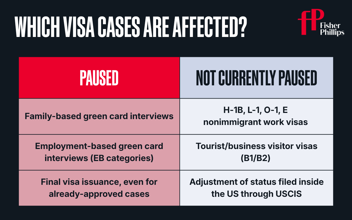 Which Visa Cases Are Affected?